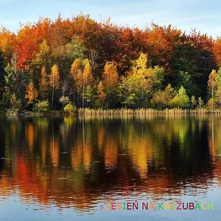 بيت للعطل High-q *